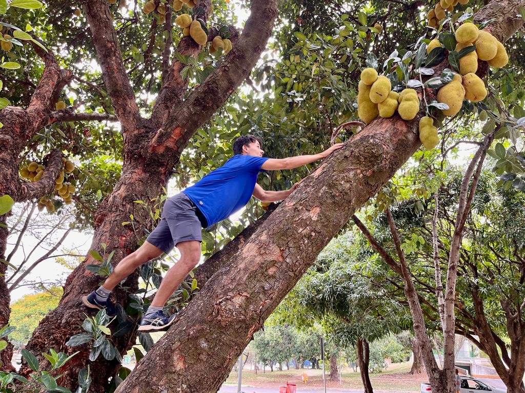 Foto: Afonso Ventania/ Jornal de Brasília